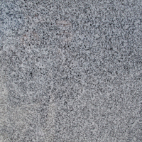 Cinza Evora, granito polido .