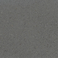 Beach Medium Grey - Quartz