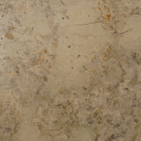 Brecha Marítima Limestone, Honed Finish.