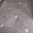 Brecha Tavira Limestone, Honed Finish.