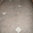 Brecha Tavira Limestone, Honed Finish.