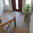 Brecha Tavira Limestone, Honed Finish.