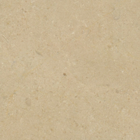 Creme Marfil Limestone, Honed Finish.