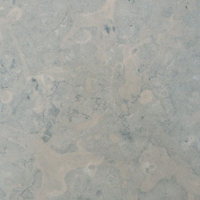 Blue Fatima Limestone, Honed Finish.