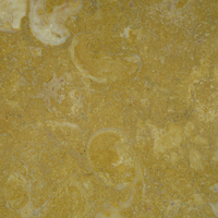 Yellow Negrais, limestone honed finish.