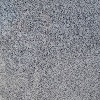 Grey Evora Granite, Polished Finish.