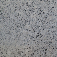 White Pearl Granite, Polished Finish.