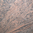 Multicoloured Purple Granite, Polished Finish.