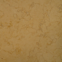 Sunny Gold Limestone, Honed Finish.