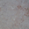 Lioz Pink, marble honed finish .