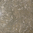 Antique Green Marble, Polished Finish.